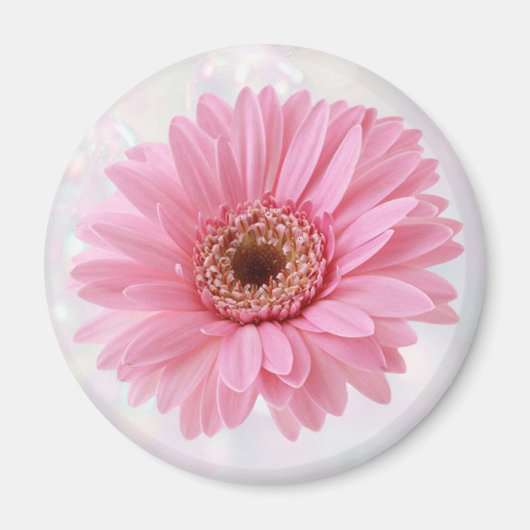 Réfrigérateur Gerbera rose Magnet (Devant)