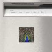 Réfrigérateur Peacock brillant ou aimant Locker (In Situ (Lave-vaisselle))