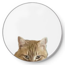 Refroidissez La Chargeuse Sans Fil Blanc Chat