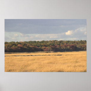 Refuge Landscape Foto Poster