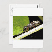 reg b briefkaart (Voorkant / Achterkant)