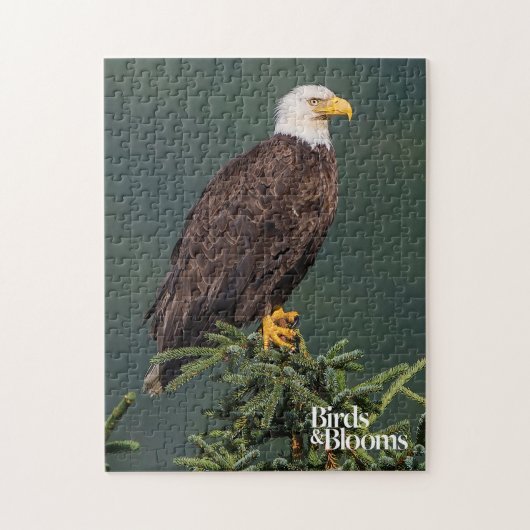 Regal Bald Eagle Legpuzzel (Verticaal)
