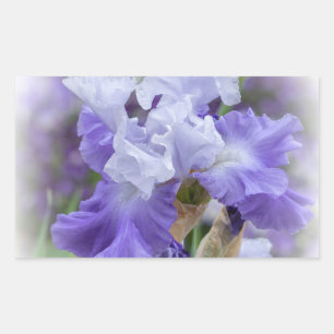 Regal Bearded Iris - Paars & wit Rechthoekige Sticker
