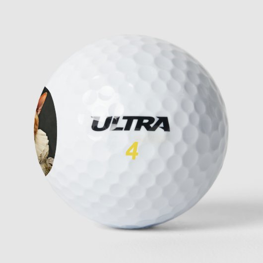 Regal Cat Golfballen (Logo)