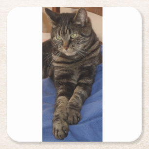 Regal Dave Custom Costers Vierkante Kartonnen Onderzetter