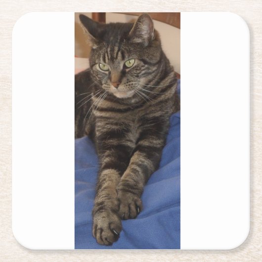 Regal Dave Custom Costers Vierkante Kartonnen Onderzetter (Voorkant)