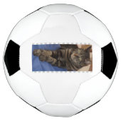 Regal Dave Football (Tourné)