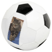 Regal Dave Football (3/4)