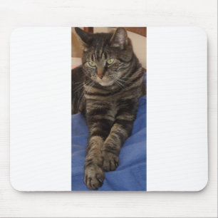 Regal Dave Mousepad Muismat