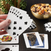 Regal Dave Pokerkaarten (Insitu)