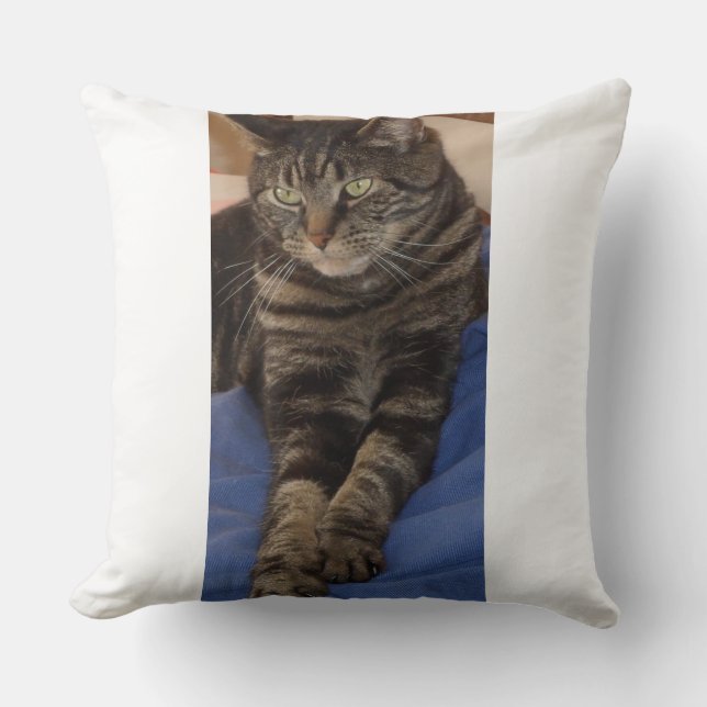 Regal Dave Polyester Cushion Kussen (Voorkant)