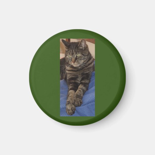 Regal Dave Round Magnet (Devant)