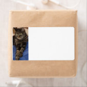 Regal Dave Sipping Étiquettes (En situation)