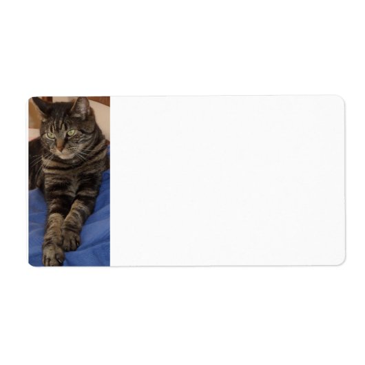 Regal Dave Sipping Étiquettes (Devant)