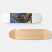 Régal Dave Skateboard (Horz)