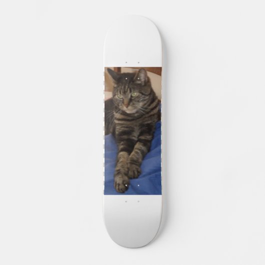 Régal Dave Skateboard (Recto)