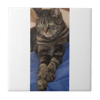 Regal Dave Small Ceramic Photo Tile Tegeltje