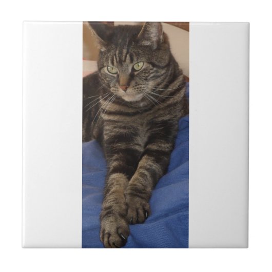 Regal Dave Small Ceramic Photo Tile Tegeltje (Voorkant)