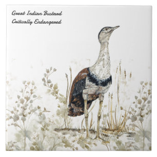 Regal handgeschilderde Indische Bustard Bird Tegeltje