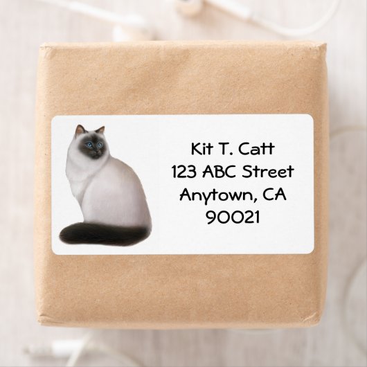 Regal Himalayan Étiquette de chat (En situation)