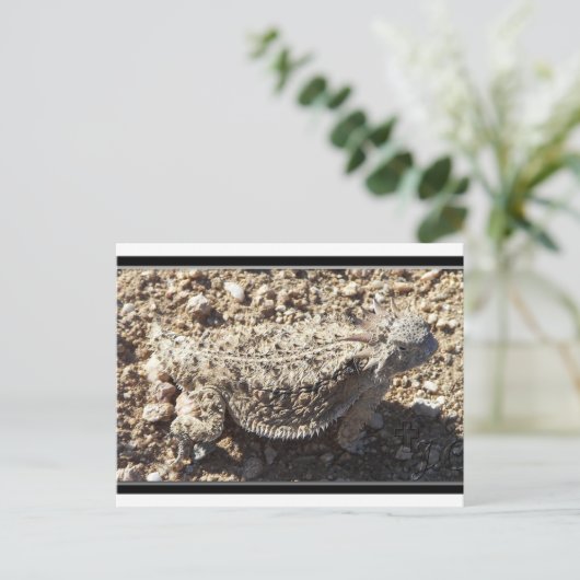Regal Horned Lizard Briefkaart (Staand voorkant)