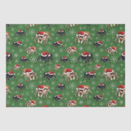 Regal Jumping Spider Phiddipus Regius Holiday Moss Tissuepapier