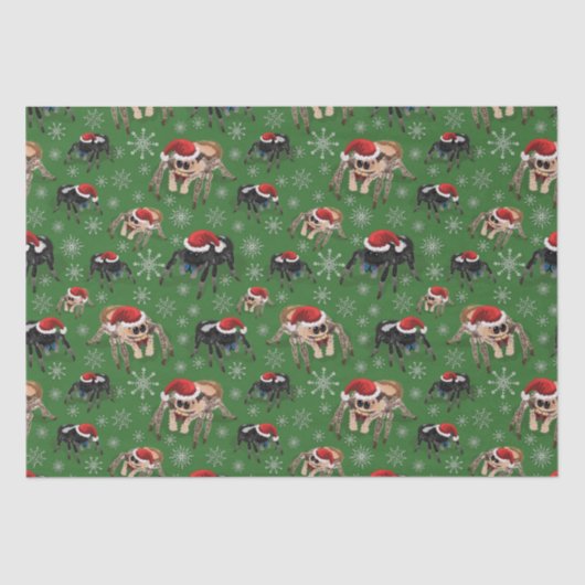 Regal Jumping Spider Phiddipus Regius Holiday Moss Tissuepapier (Voorkant)