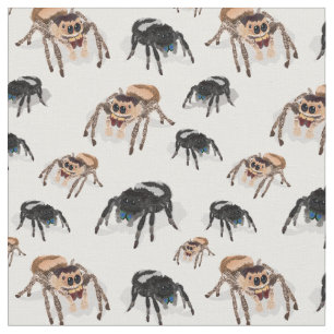 Regal Jumping Spider Phiddipus Regius White Stof