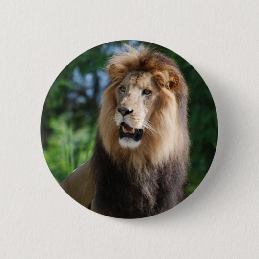 Regal Lion Button (Voorkant)
