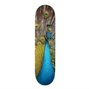 Regal Peacock met Blauwgroen blauwe en gouden vere Skateboard