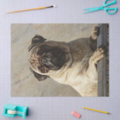 Regal Pug Decoupage Tissuepapier (Craft)