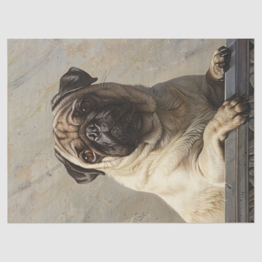 Regal Pug Decoupage Tissuepapier (Voorkant)