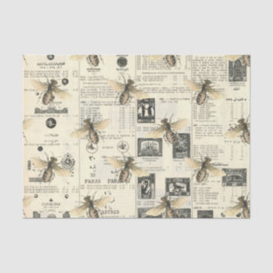 Regal Queen Bee over  Frans papier