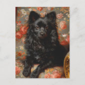 Regal Schipperke  Briefkaart (Voorkant)