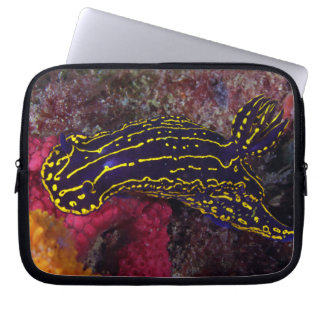 Regal Zee Goddess Nudibranch Felimare picta Laptop Sleeve