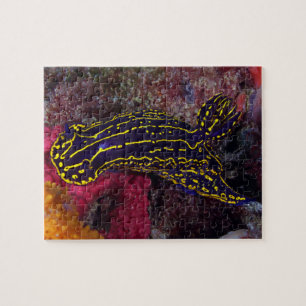 Regal Zee Goddess Nudibranch Felimare picta Legpuzzel