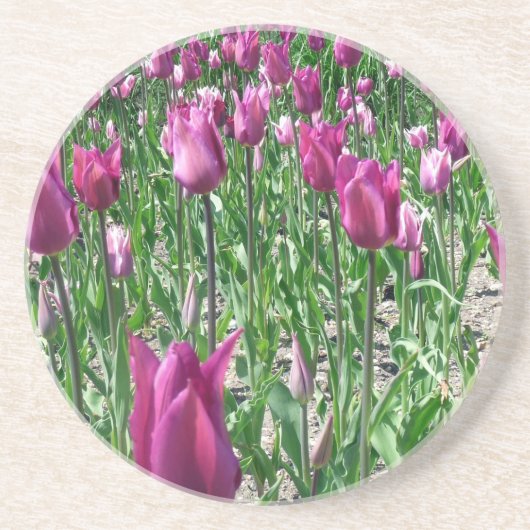 Regale Paarse Tulpen Zandsteen Onderzetter (Voorkant)