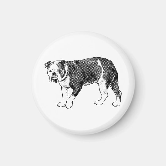 Regard Bouledogue, Magnet Manga Point (Devant)