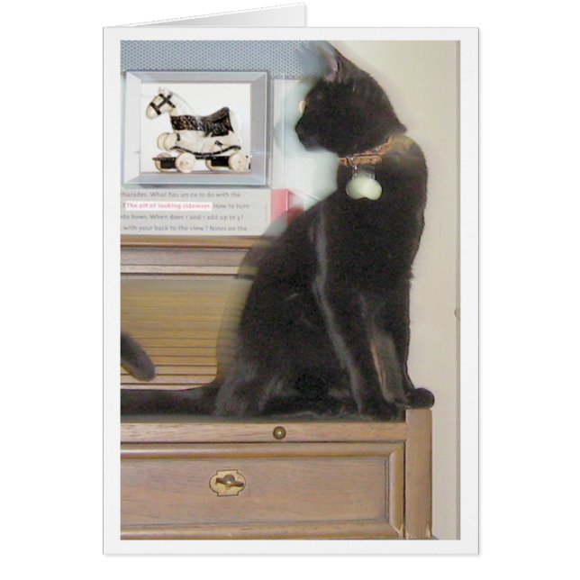 Regard en longueur (Devant)