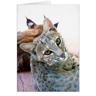 Regard fixe   de Gazely personnalisable