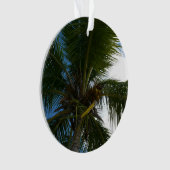 Regard sur le palmier à coco Nature tropicale (devant)