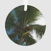 Regard sur le palmier à coco Nature tropicale (dos)