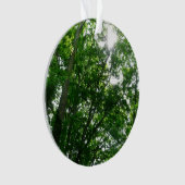 Regard sur les arbres d'été (devant)