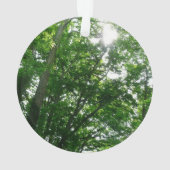 Regard sur les arbres d'été (dos)