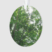 Regard sur les arbres d'été (devant)