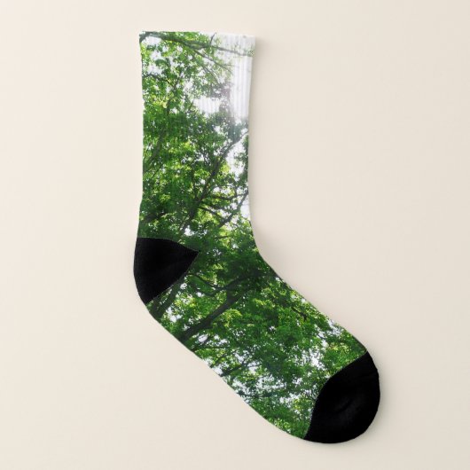 Regard sur les arbres d'été (Gauche intérieur)