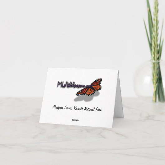 Regard sur Mariposa Grove (Dos)