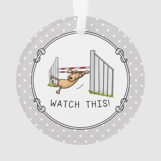 Regarde Ça ! Chien - agilité drôle balançoire chie (dos)