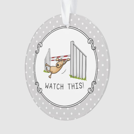 Regarde Ça ! Chien - agilité drôle balançoire chie (devant)