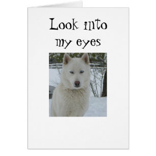 "REGARDE DANS MES YEUX ET MON COEUR"